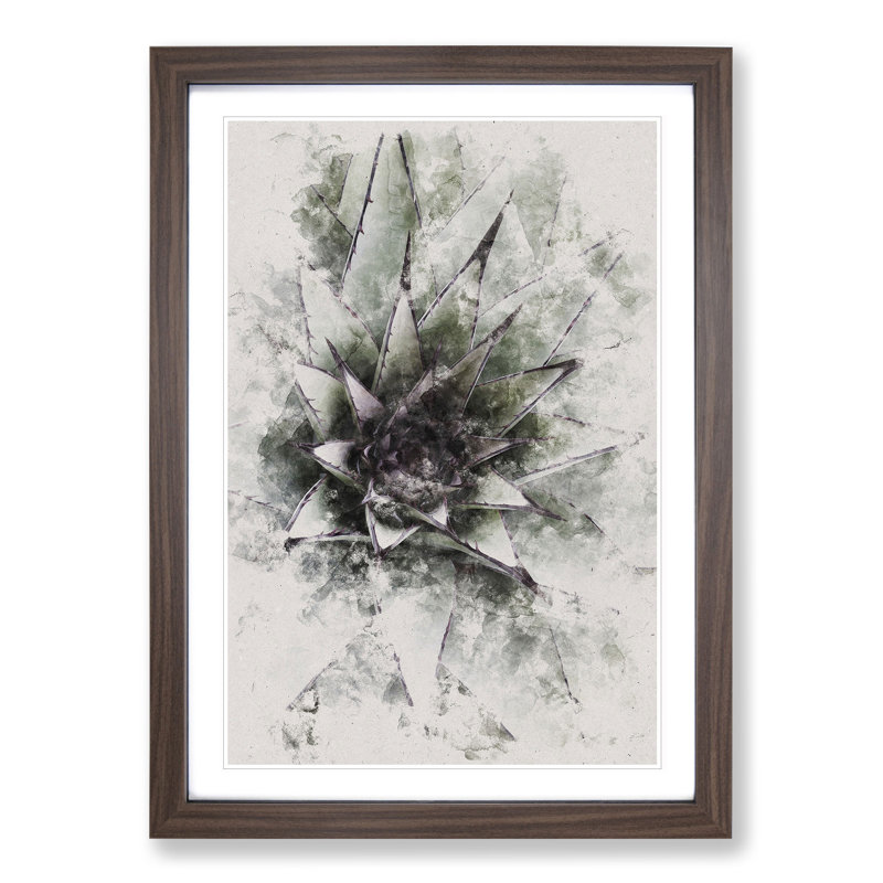 The Succulent Plant - Picture Frame Graphic Art, 48cm H x 36cm W x 2cm D, Walnut Framed