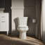 WellworthÂ® 1.28 GPF Water Efficient Elongated Two-Piece Toilet-760633245-737832173