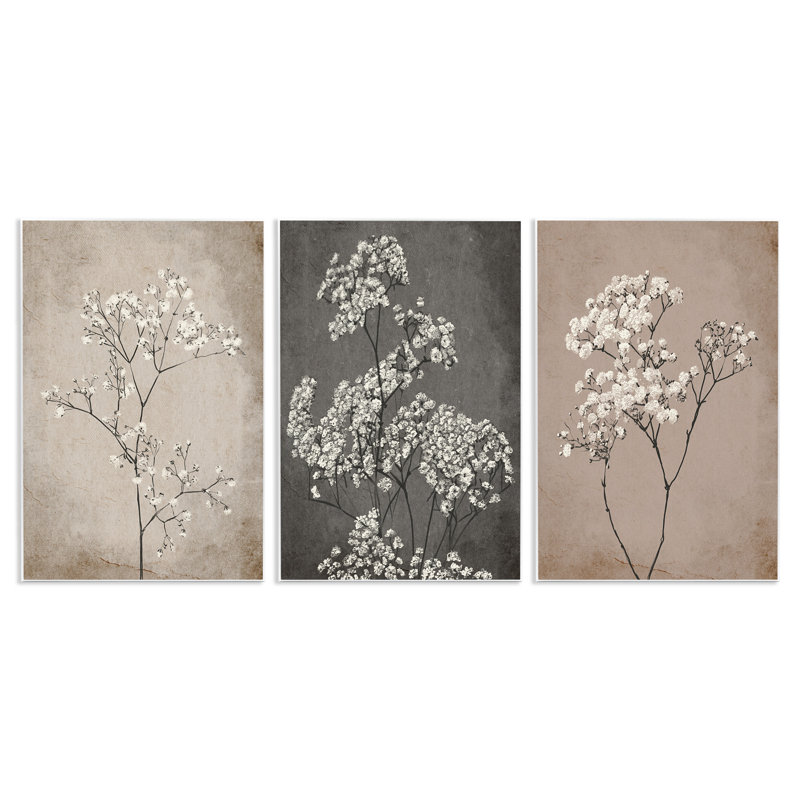 Ensemble de 3 reproductions d'art sur toile Stupell Industries Botanical Baby's Breath Herbs par Ros Ruseva