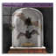 The Holiday Aisle® «Apothecary Noir IV» par Sue Schlabach, art mural en verre acrylique, 24 po x 24 po-1004631056