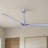 Alessandra 56'' Ceiling Fan-1813772010-1813771989