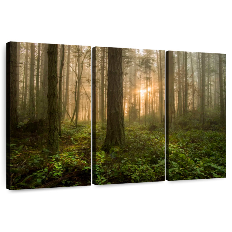 Lever de soleil sur la forêt de l'île Alvord Lummi, H 20 po x l 33 po
