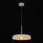 1-Light Dome LED Pendant Lighting with Adjustable Height 