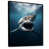 Black Floater Framed