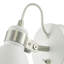 Azalea Spotlight-25454765