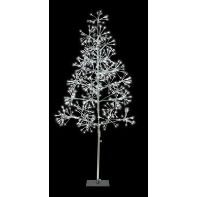 Lighted Trees & Branches