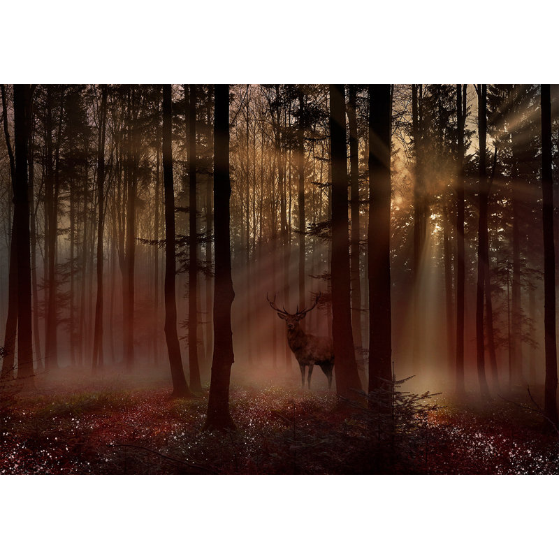 Papier peint paysage - Forêt mystique, L 68 po x l 98 po