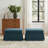 Upholstered Navy Skirted Rectangular Storage Ottoman with Lift-Top (Set of 2)-413304215