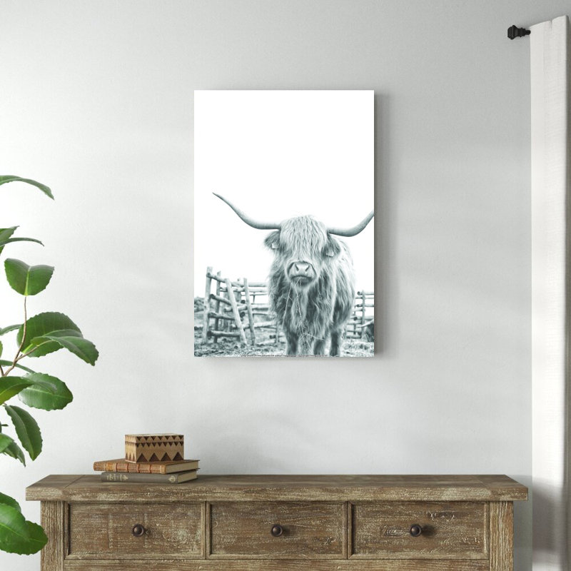 Noir et blanc Highland Cow - impression, H 36 po x l 24 po