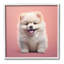 Chiot moelleux sur fond rose, estampe numérique par RB-98908779-98908780