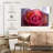 Harnek Misty Pink Rose-111960689