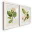 «Magnolia Flowers I-Premium», reproduction encadrée prête à être accrochée-1223354512-1223354543