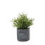 Potted Faux Fern Plant - 35cm
