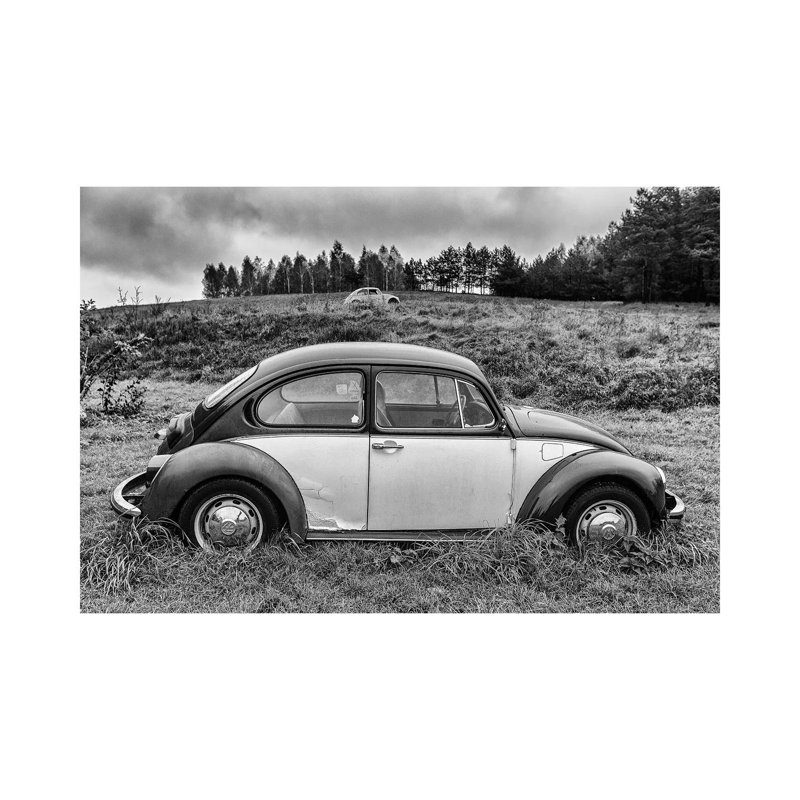 Volkswagen Beetle by Mikolaj Gospodarek - Wrapped Canvas Print, 20.32 cm H x 30.48 cm W