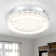 Rosalita LED Flush Mount Lighting Fixture Dimmable 8.26In Ceiling Light 12W With Crystal Lampshade