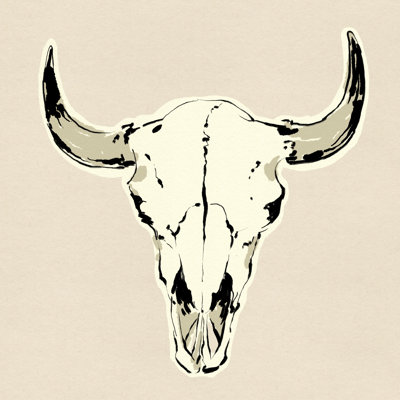 Steer Skull I by Jacob Green - Wrapped Canvas Print