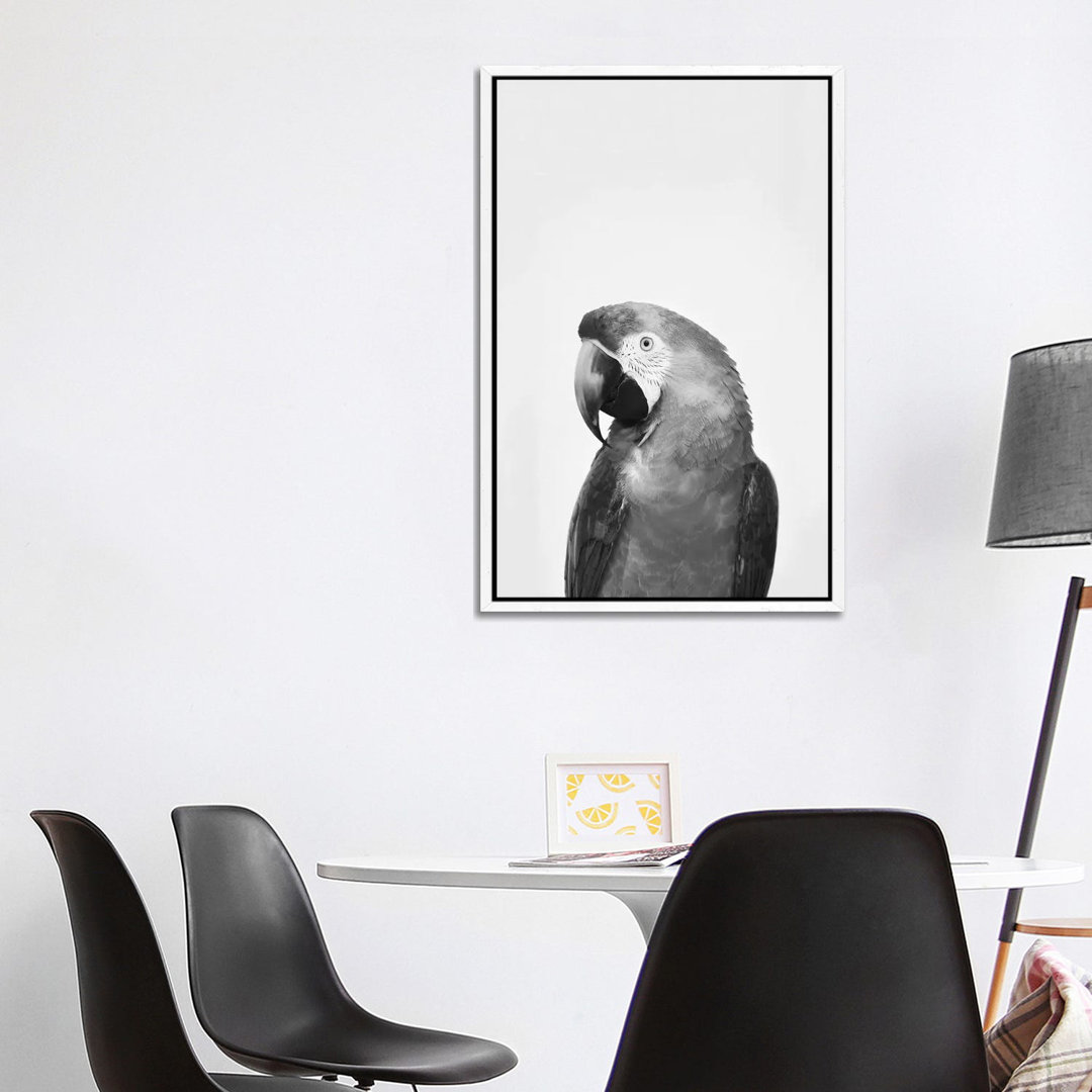 Parrot In Black & White von Sisi & Seb - Galerie-verpackte Leinwand Giclée