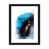 Black Paper n'est pas disponible