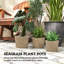 Pot Planter