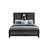 SOLUTO GREY AND BLACK BOOKCASE QUEEN BED-1581059419