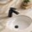 Single Handle Single Hole Bathroom Faucet With Drain Assembly-119623792