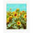 Ceron Single Image Picture Frame-357345341-357345339-357345477
