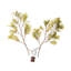 Faux Moss Branch