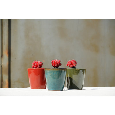 Grandes tasses lilas pour bébé 4,5 po x 4,5 po