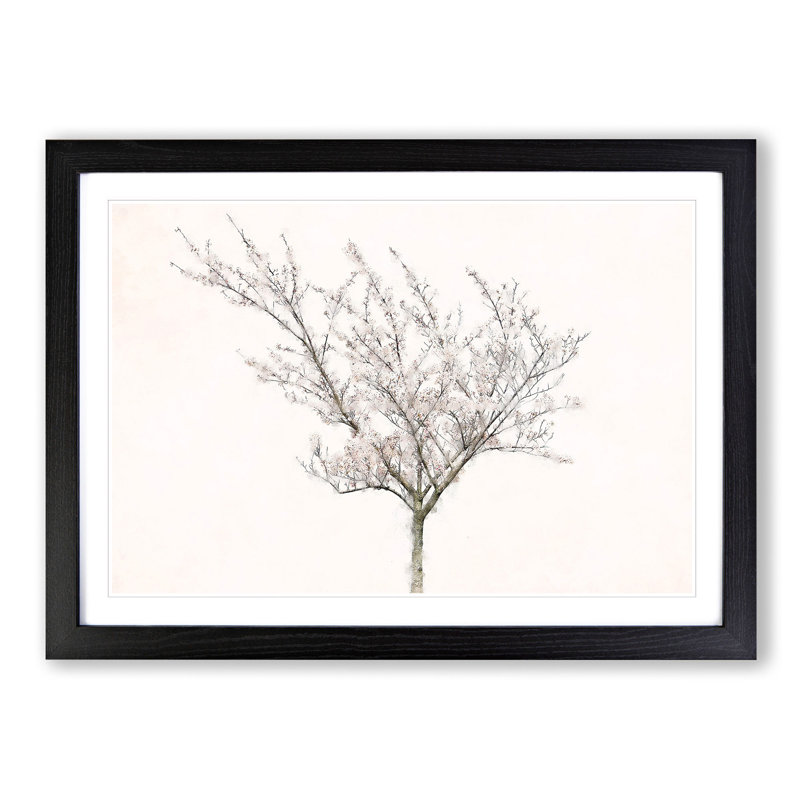 A Pink Cherry Blossom Tree - Picture Frame Painting Print, 33cm H x 45cm W x 2cm D, Black
