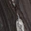Linden Abstract Decorative Object