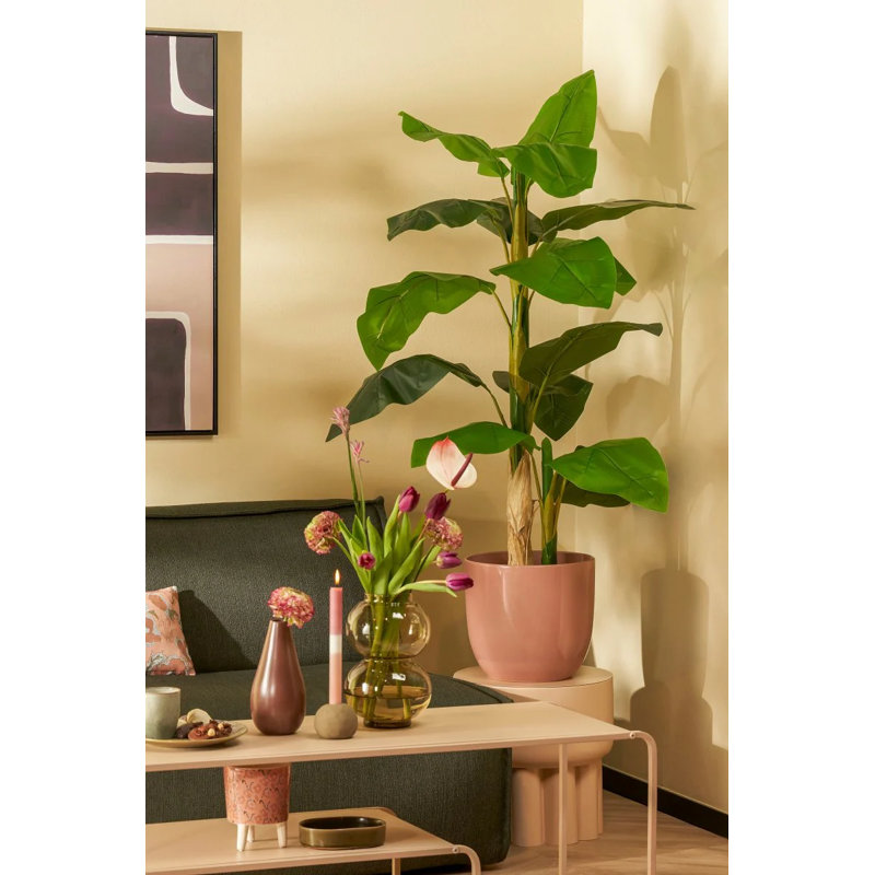 Calzadillo Ceramic Pot Planter