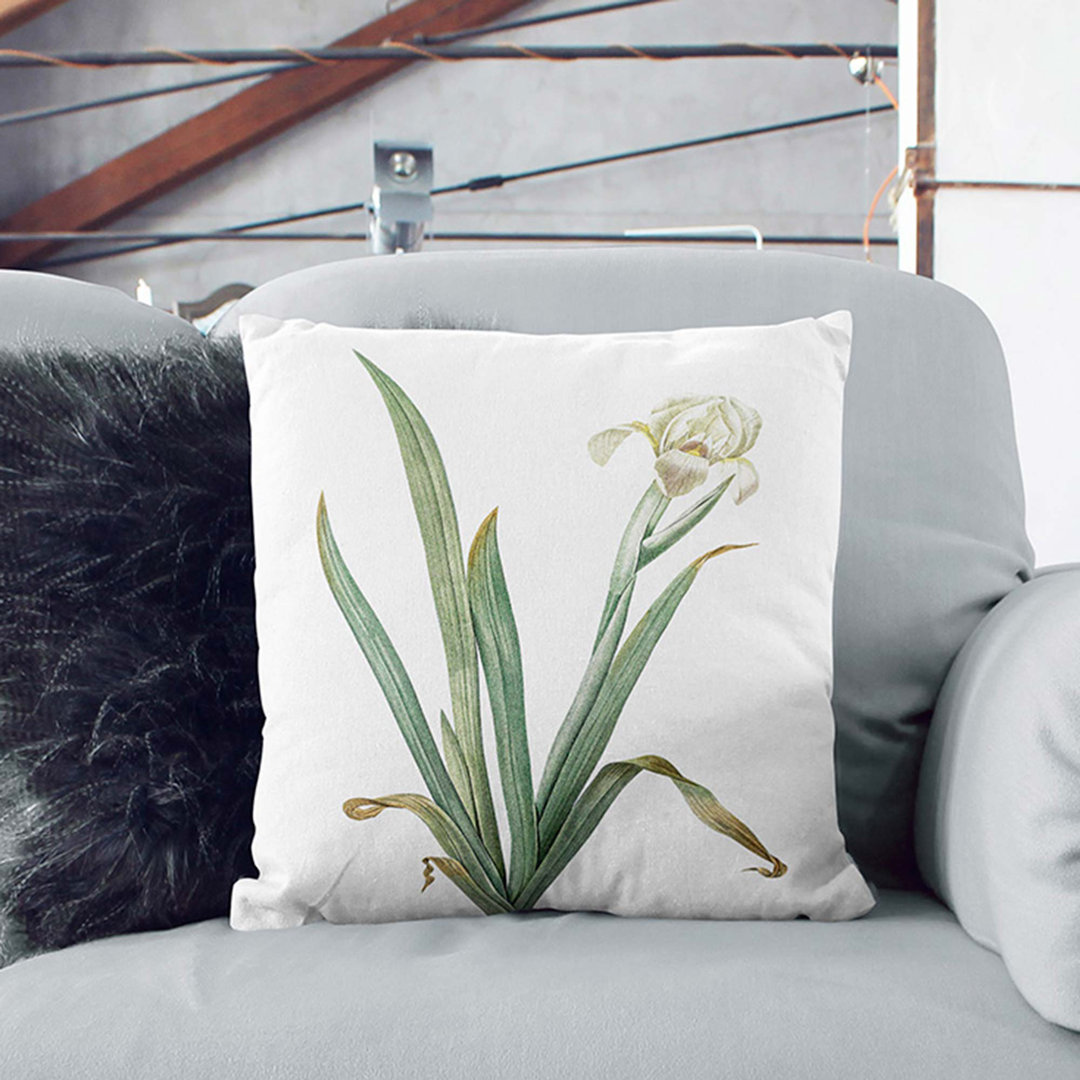 Crimean Iris Flower by Pierre-Joseph Redoute Cushion with Filling