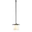 Wren 1 - Light Single Dome Pendant-7207719-7207725