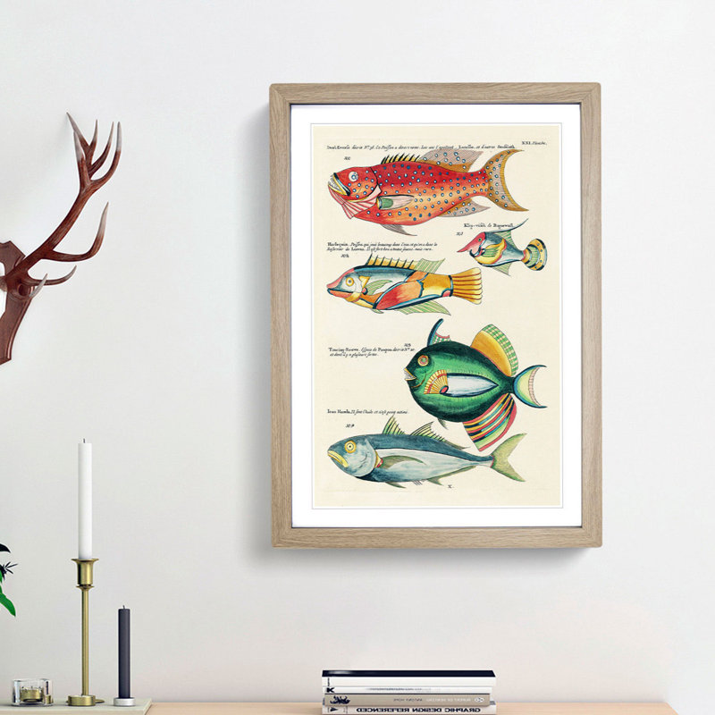East Indies Fish Illustrations XXI by Louis Renard - Picture Frame Graphic Art Print, Oak Framed, 36cm H x 27cm W x 2cm D