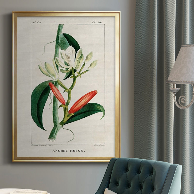 Turpin Tropical Botanicals IX, reproduction d'art encadrée, Or, H 36,5 po x l 26,5 po x P 1 po