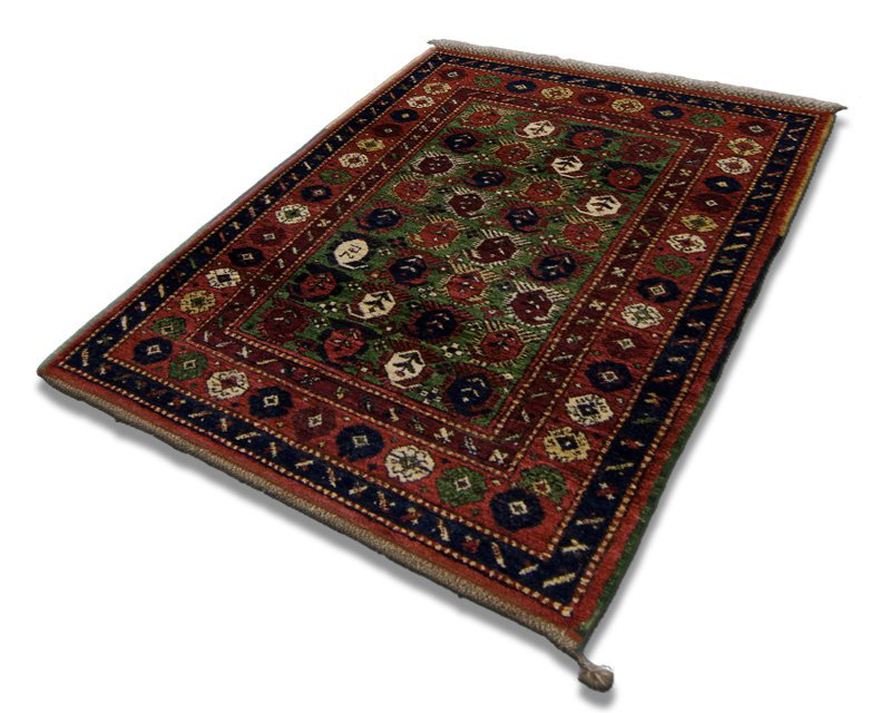 Seychour Wool Oriental Area Rug in Green/Red