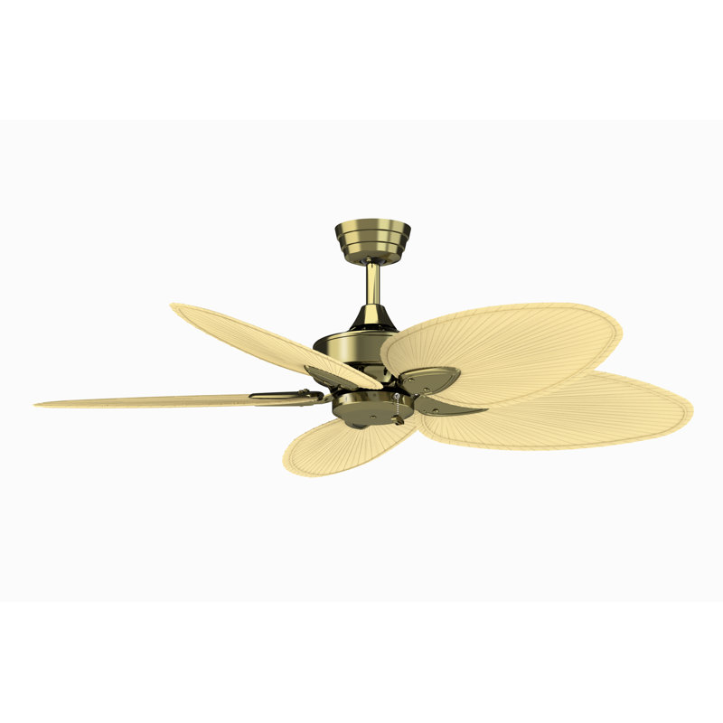 Windpointe 52 inch Indoor Ceiling Fan - Antique Brass with Natural Narrow Oval blades, Antique Brass with Palm Leaf Blades