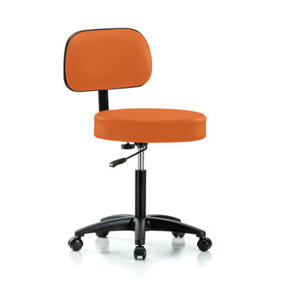 Lippencott Backed Adjustable Backrest Adjustable Height Ergonomic Lab Stool with Removable Casters/Wheels
