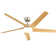 52'' 5-Blade Sand Nickle Modern Ceiling Fan With Led Light and Remote Control