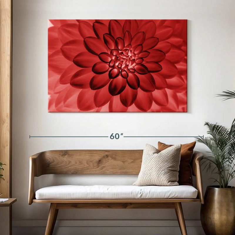 Dahlia rouge translucide