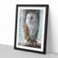 Barn Owl Vol.7 - Picture Frame Painting-62747841-62747836