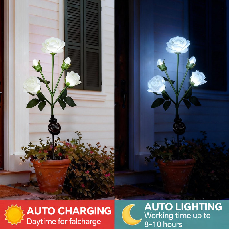 Lumières décoratives solaires imperméables à l'eau de jardin solaire pour jardin, Blanc