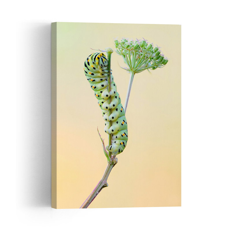 Green Caterpillar Climbing Delicate Vibrant Contemporary Animal Nature Wall Art Print 1 Piece Wrapped Canvas Wall Art
