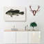 Sea Bass Fish by Sherman F. Denton - Wrapped Canvas-55323640