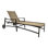 Avana Outdoor Chaise Lounge