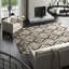 Wool Ikat Area Rug