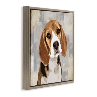 Pet Beagle en attente