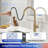 Rainlex Pull Down Kitchen Faucet