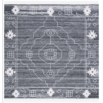 Ameliyah Flat Weave Polpropylene Southwestern Rug