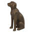 Labrador, brun antique